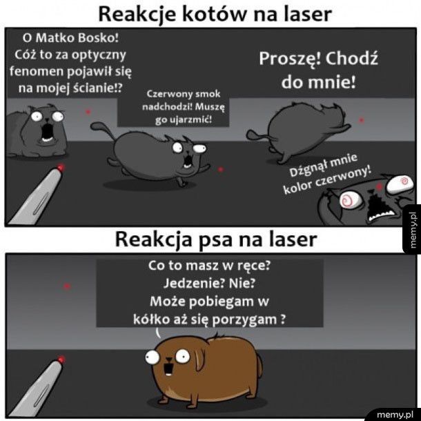 Variety of products in a convenience store