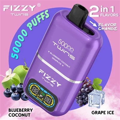 Fizzy Twins vape with blueberry coconut and grape ice.
