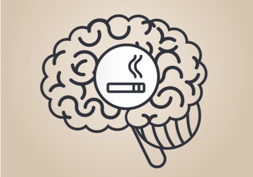 Original URL: https://pieknoumyslu.com/wp-content/uploads/2019/05/mozg-i-papieros.jpg