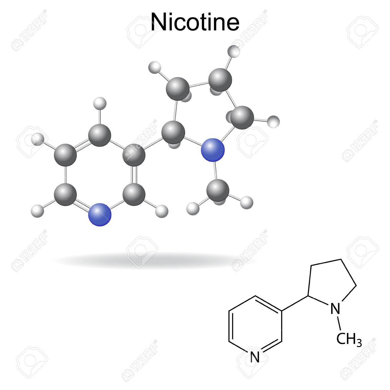 Schemat lub ilustracja przedstawiająca strukturę chemiczną nikotyny freebase.