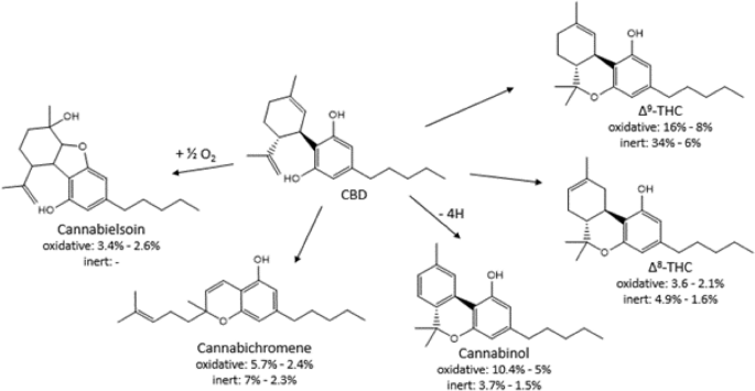 Infografika lub schemat wizualnie dzielący e-papieros i vape CBD na sekcje