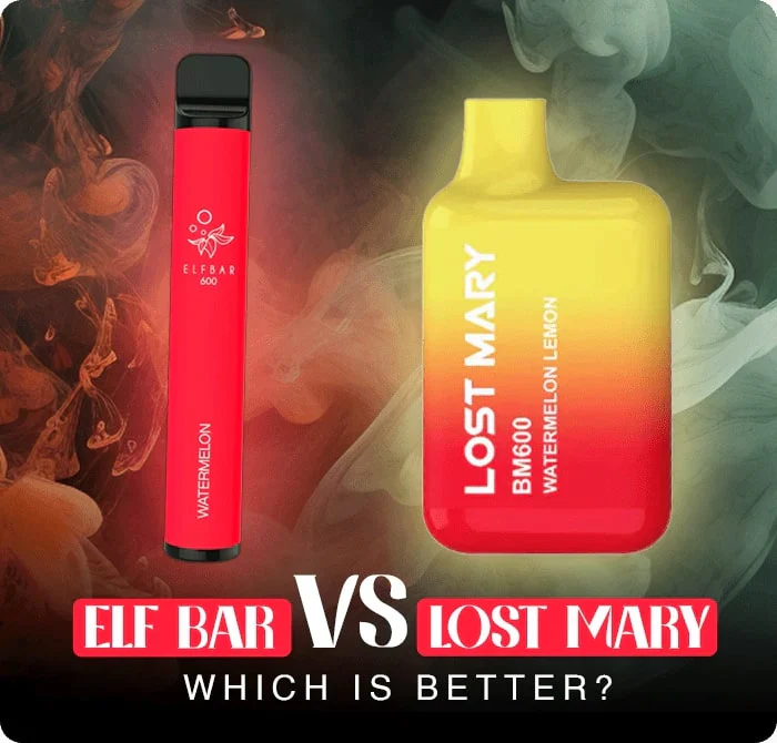 Porównawcze zdjęcie Elf Bar 600 i Lost Mary BM600, pokazujące różnice w ich designie i kształcie.