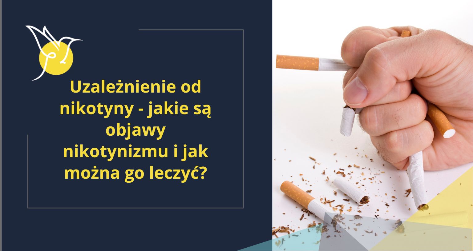 Ilustracja przedstawiająca cząsteczkę nikotyny.