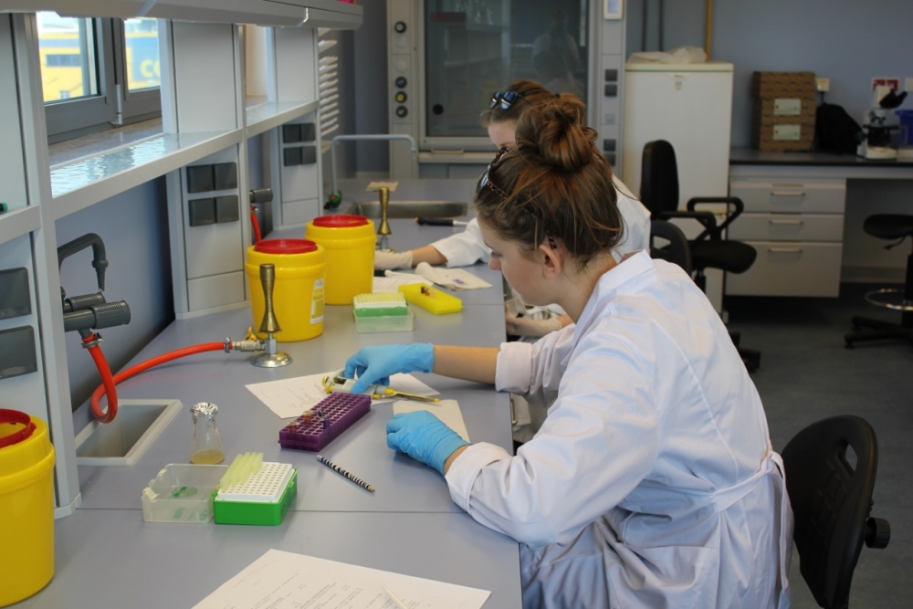 Stylizowana grafika przedstawiająca mikroskop lub lupę laboratoryjną nad molekułami smaku winogronowego, symbolizująca dogłębną analizę.