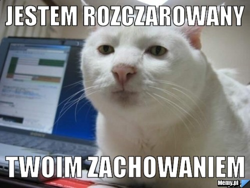 Klient pytający sprzedawcę w małym, tradycyjnym sklepie z e-papierosami, sprzedawca gestykuluje, sygnalizując brak szukanego produktu.