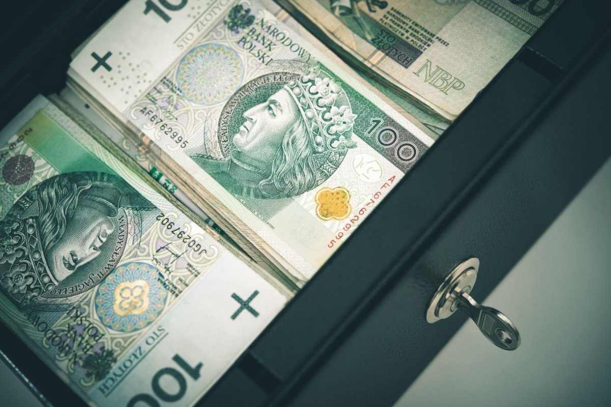 wyrzucanie pieniędzy w błoto, marnowanie 330 złotych, porównanie wartości zakupu - Kilkanaście tysięcy rocznie w błoto – tak Polacy marnują swoje ...