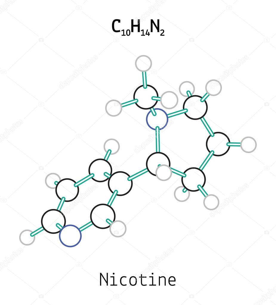 wzór chemiczny nikotyna cząsteczka molekuła C10H14N2 struktura naukowa - C10h14n2 nikotyny cząsteczki wektor stockowy od ©MariaShmitt ...