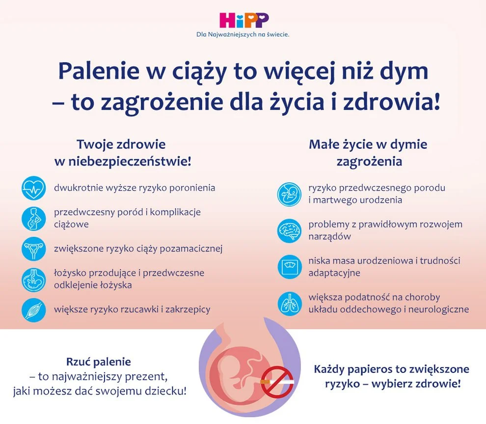 csm opte 11 1 infografika pale