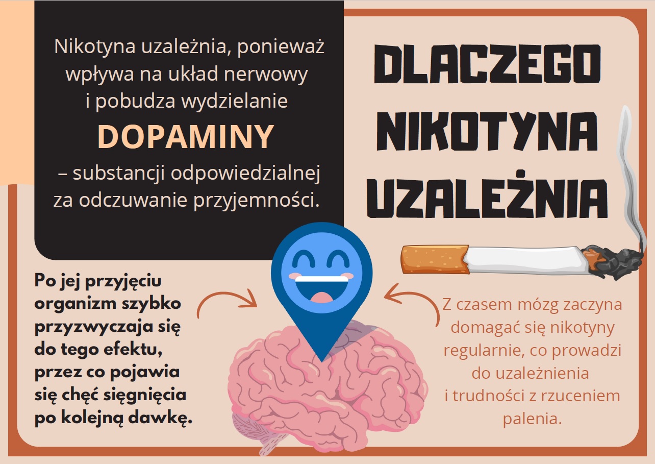 Grafika przedstawiająca schemat ludzkiego mózgu, z zaznaczonymi neuronami i receptorami, do których dociera nikotyna, wywołując gwałtowny wyrzut dopaminy, co symbolizuje mechanizm uzależnienia.