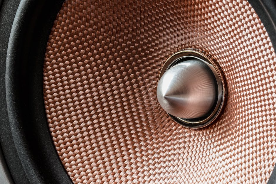 pexels photo 373632