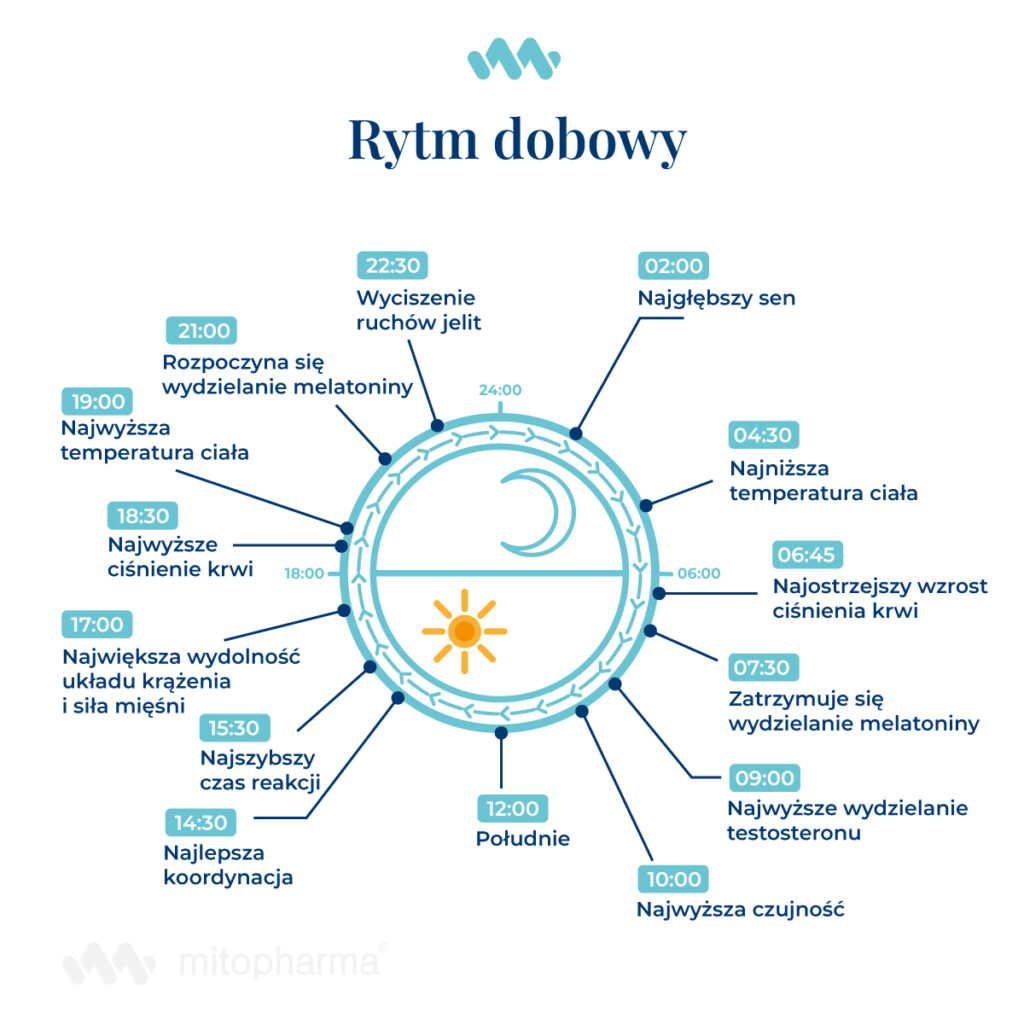Grafika przedstawiająca serotoninę (hormon snu) symbolicznie blokowaną lub tłumioną przez wpływ nikotyny, co utrudnia zasypianie.