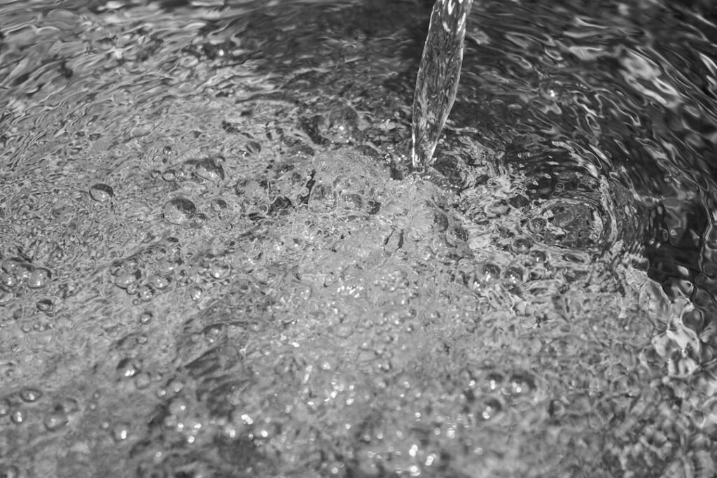 photo 1629660182887 47fcf7701d